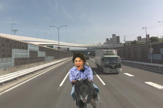 照英が泣きながら犬に跨がって高速道路を走ってる画像ください
