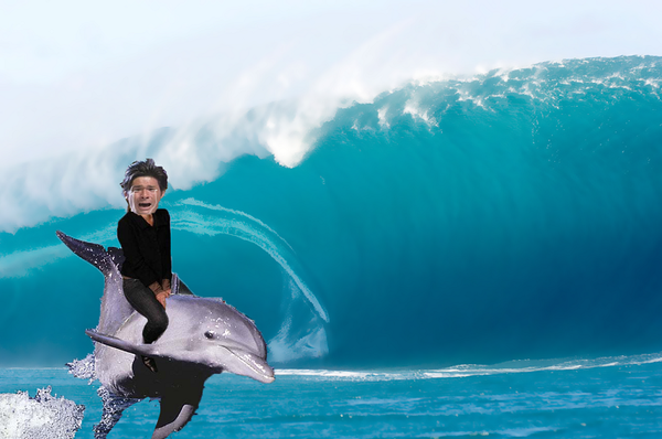 イルカに乗って津波から逃げる照英の画像ください